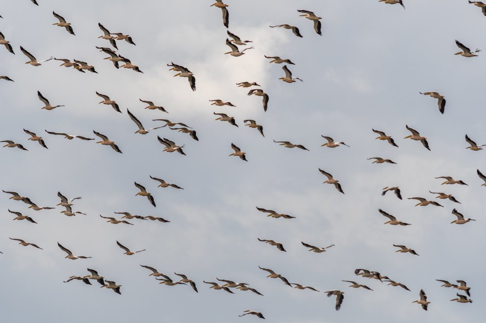 Photograph by Александр Ляндрес