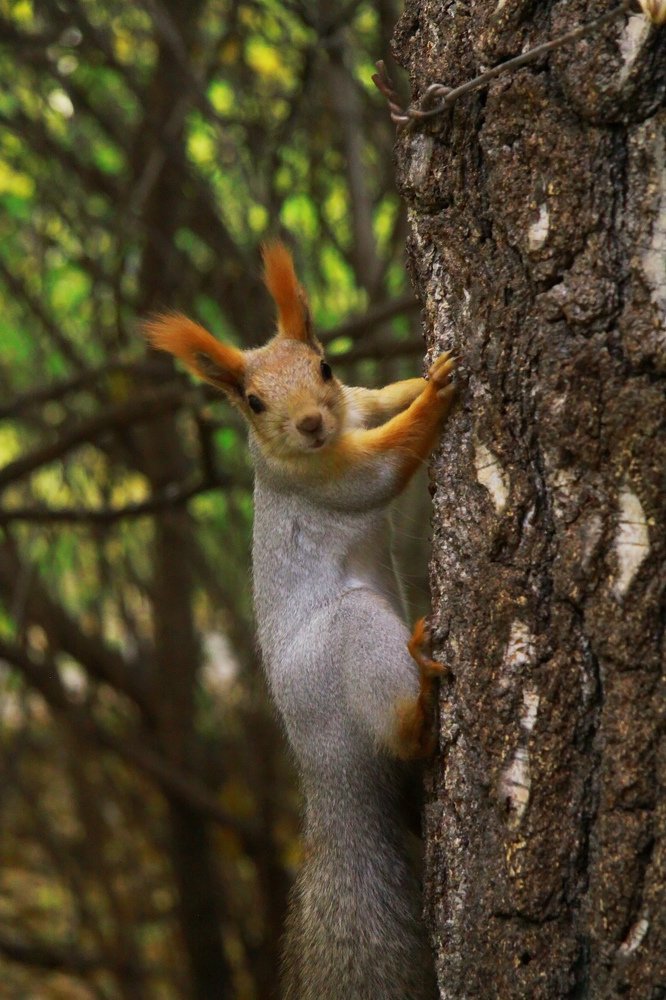 Photograph by Жанна Цветкова