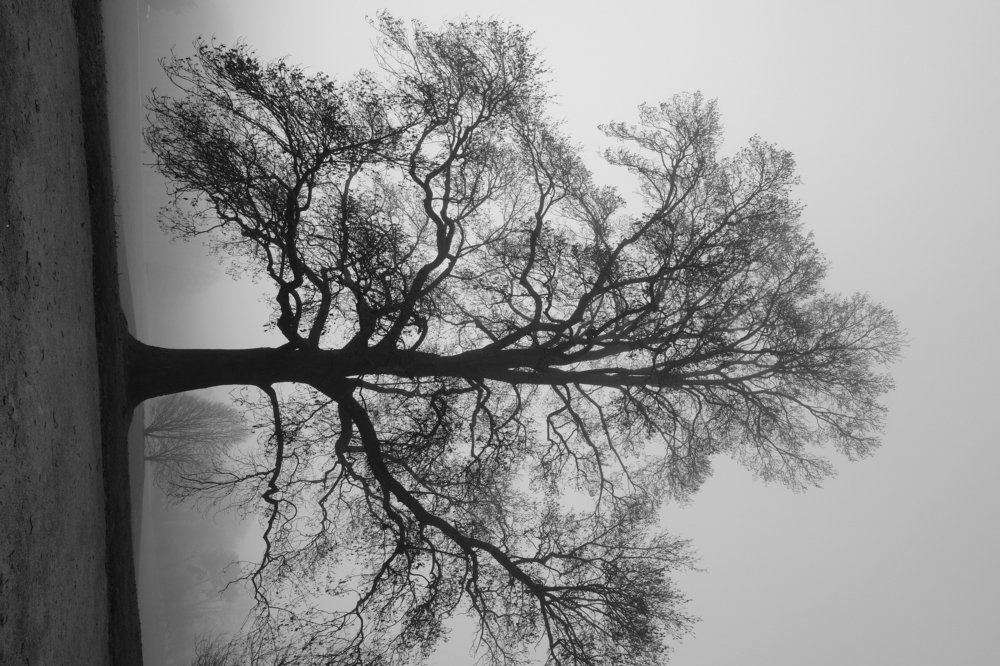 Photograph by Robert Chiorbeja