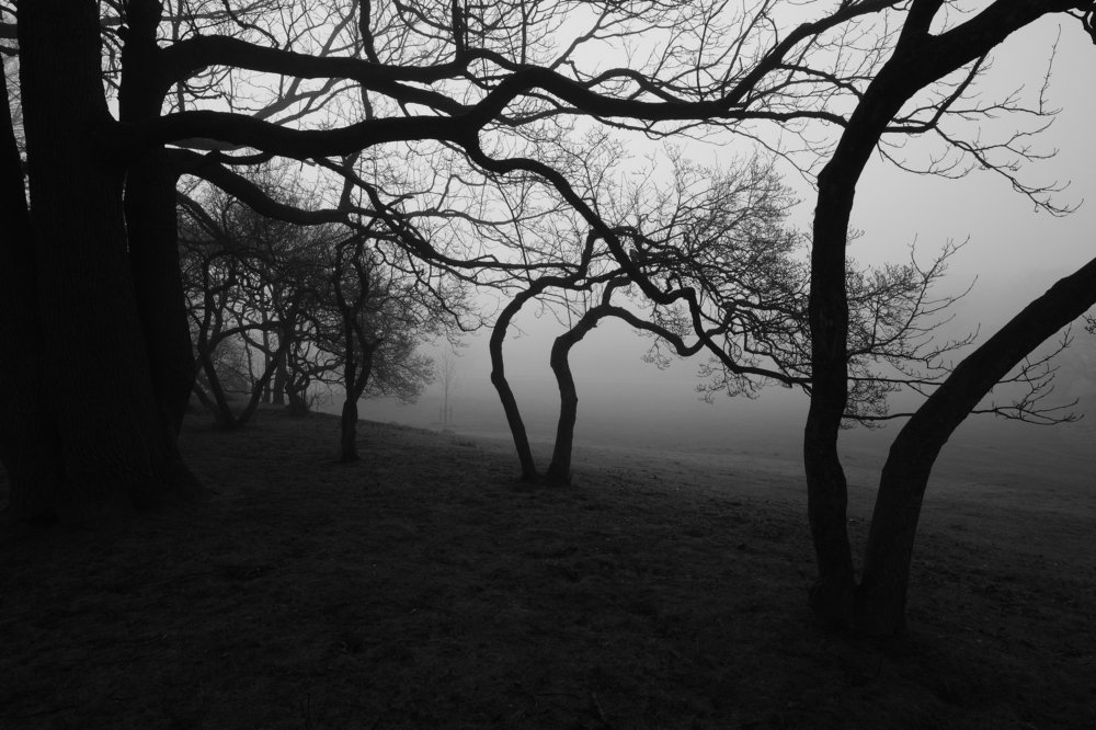 Photograph by Robert Chiorbeja