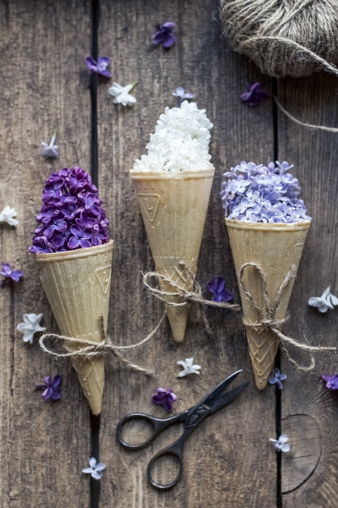 Photograph by Алла Вовк