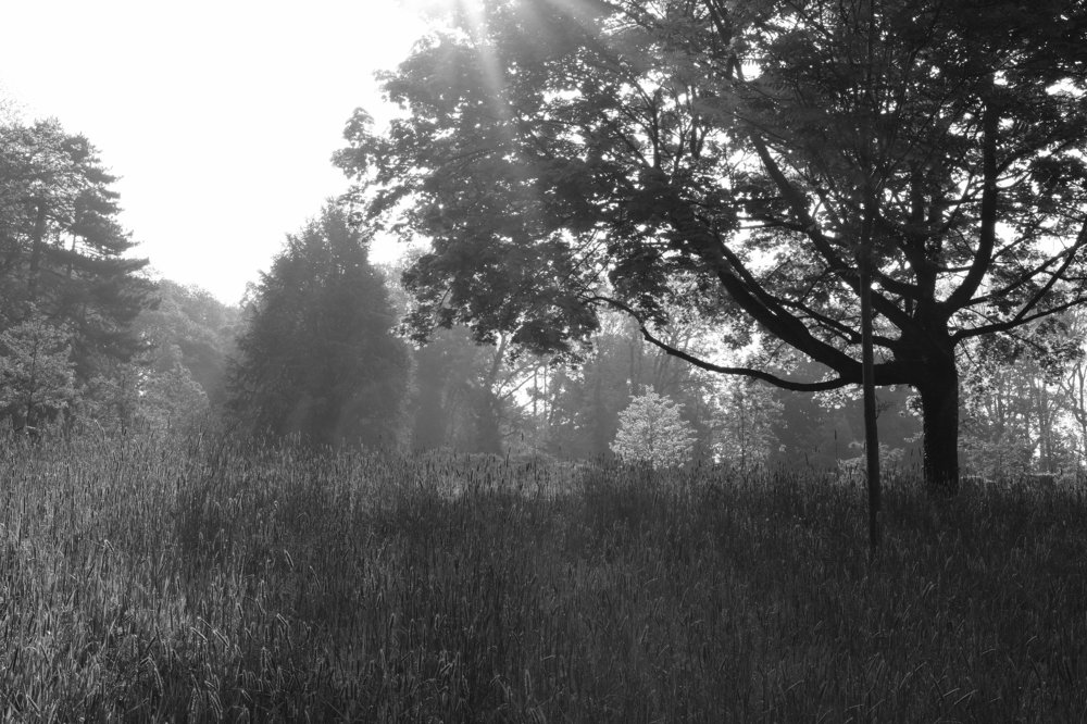 Photograph by Robert Chiorbeja