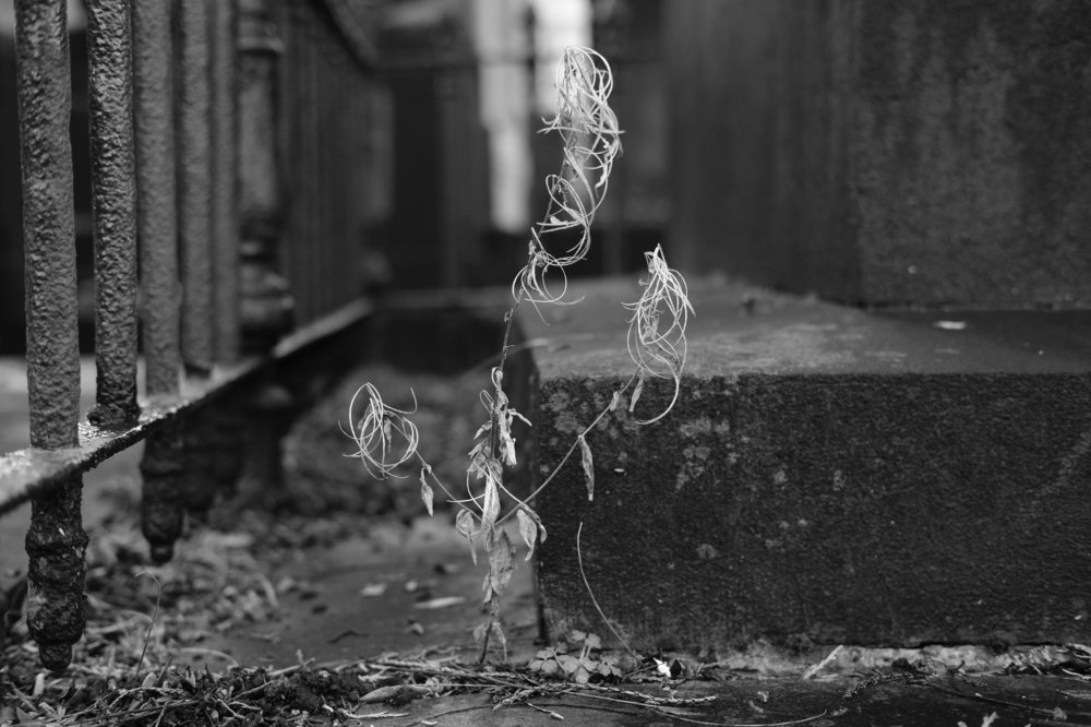 Photograph by Robert Chiorbeja