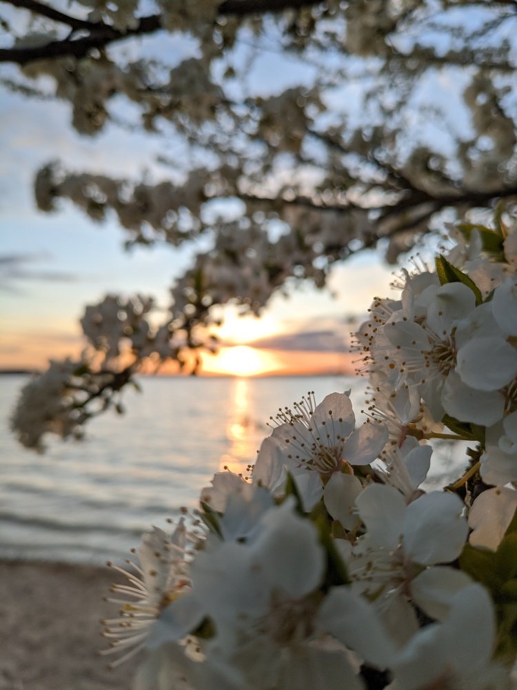 Photograph by Vladimir Sharuba