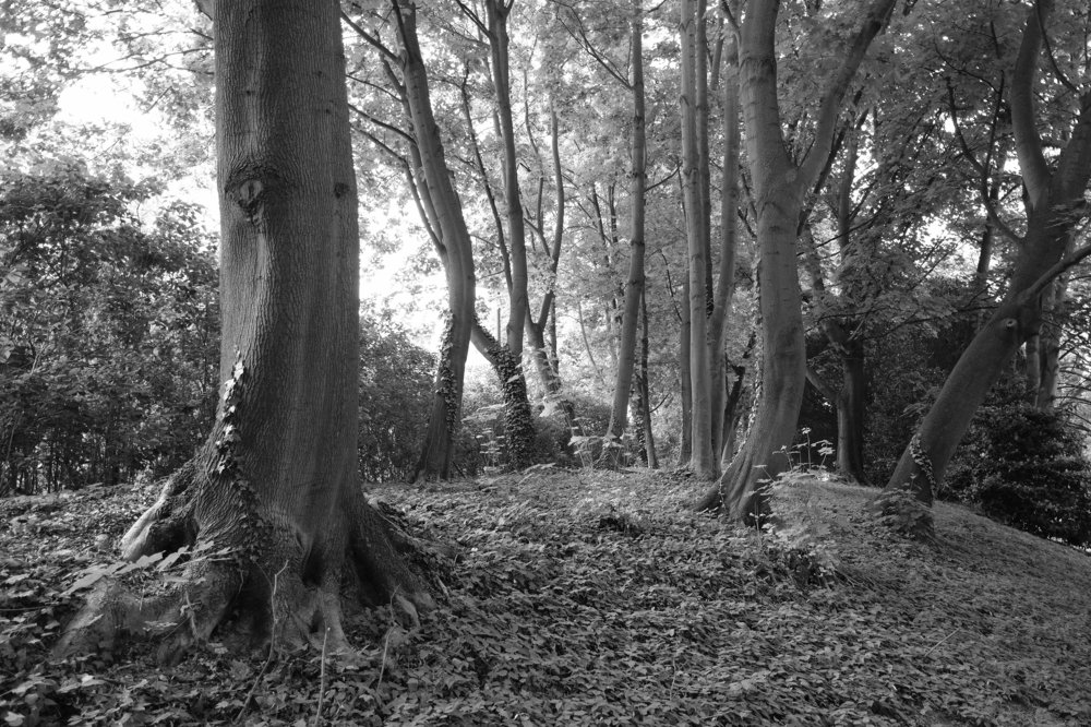 Photograph by Robert Chiorbeja