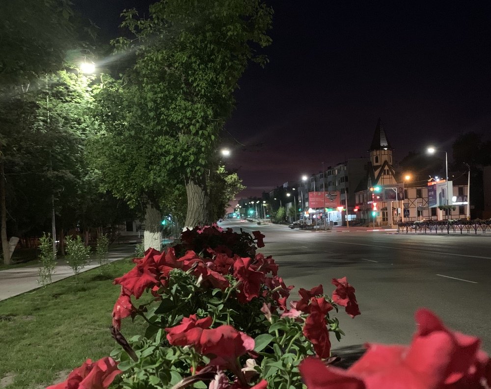 Photograph by Любовь Борзенкова