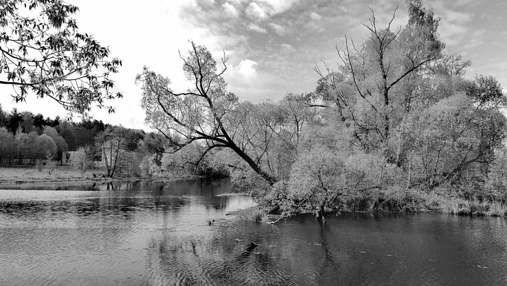 *Выше по течению*