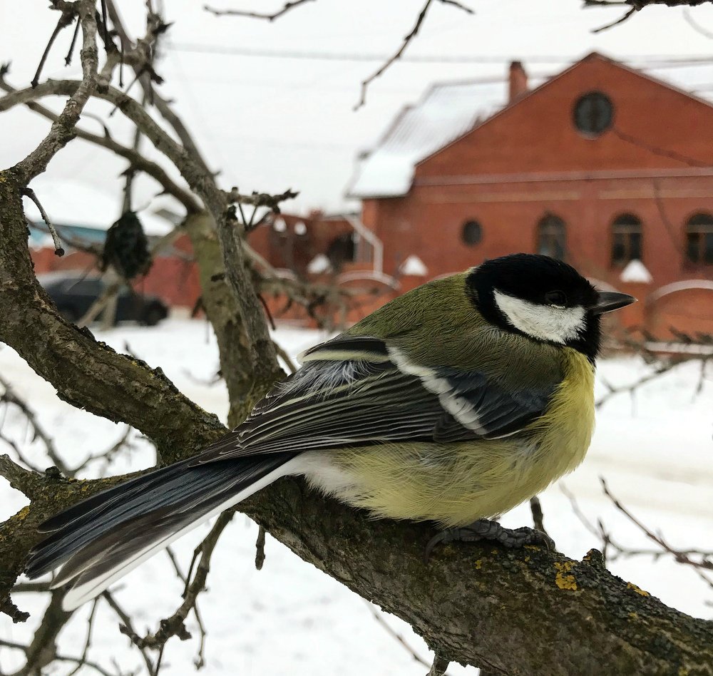 Photograph by Николай Абрамов