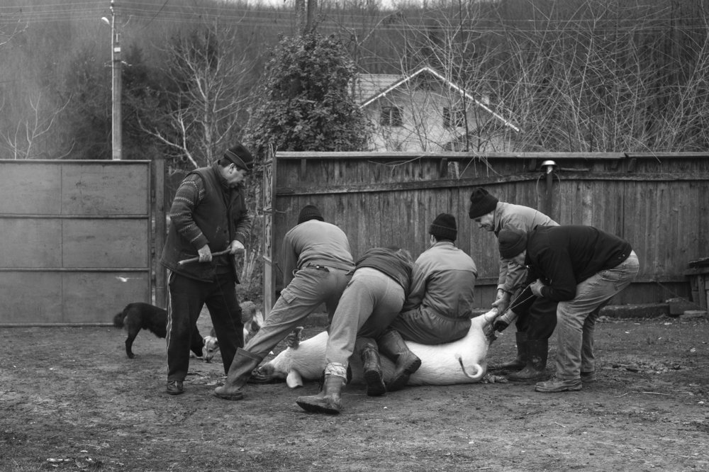 Photograph by Iustin Băisan