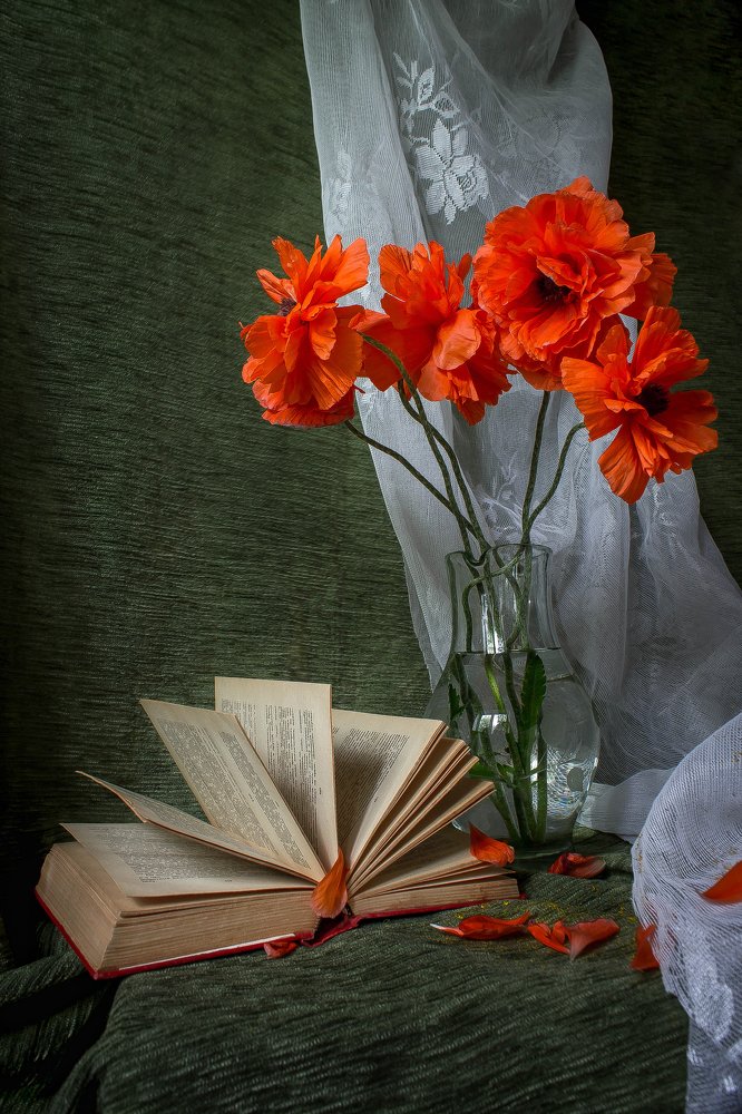 Photograph by Анна Вязникова