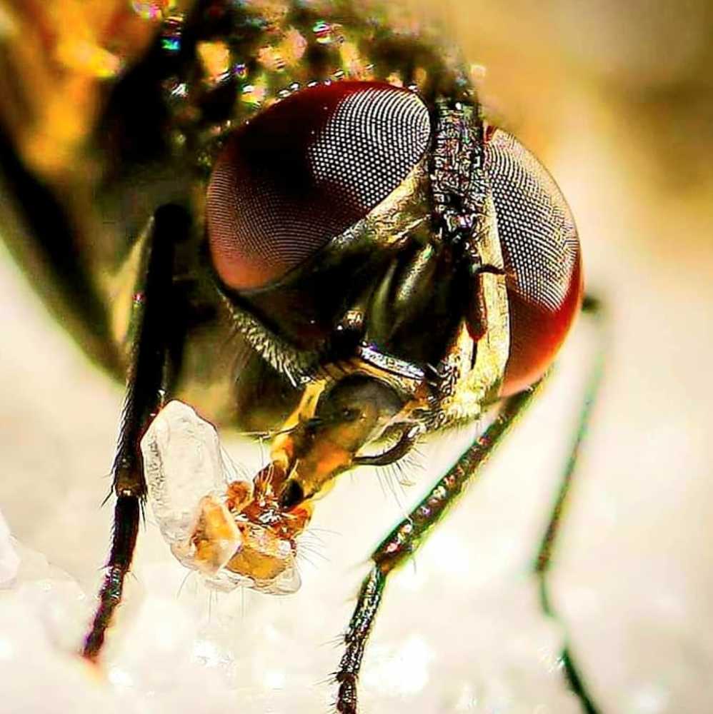 Photograph by Karina Elena Bergagna