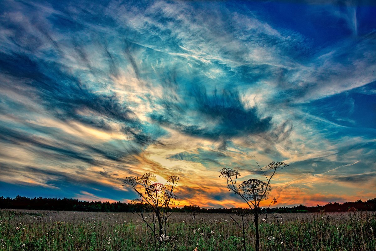 Photo #4595797