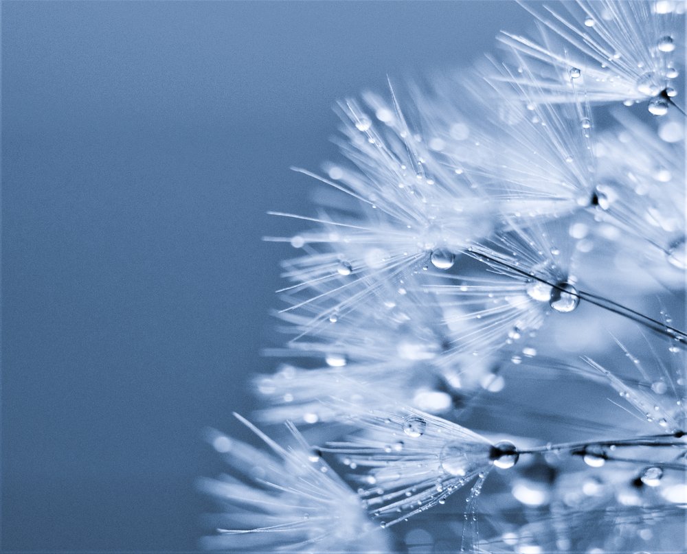 Photograph by Наталья Леуткина