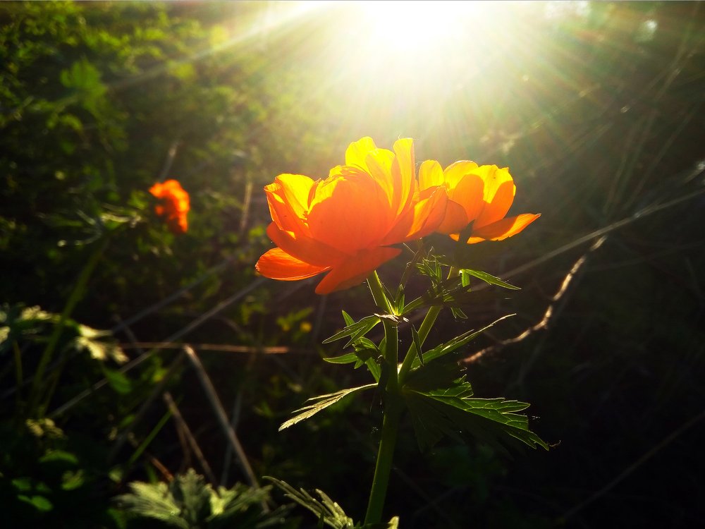 Photograph by Maria Pinigina