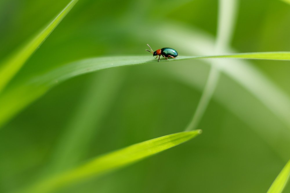 Photograph by Дильноза