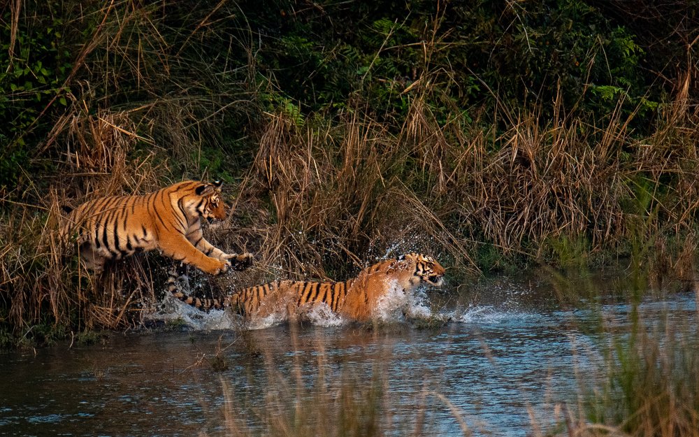 The Leap to Invigoration