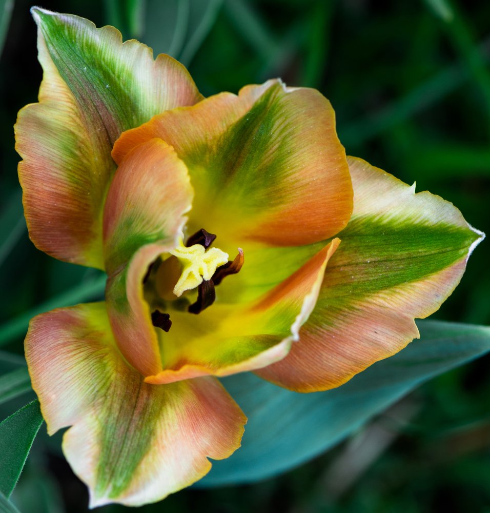 Photograph by Михаил Магид