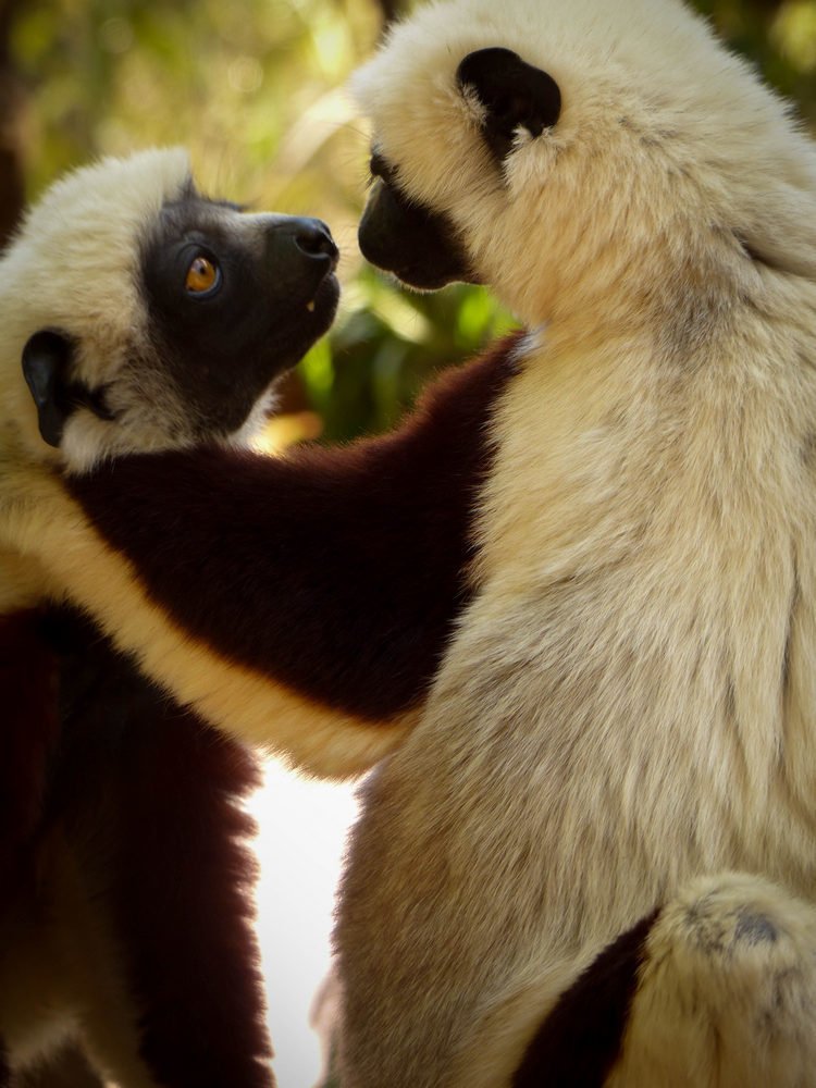 Photograph by Patricia LECCIA