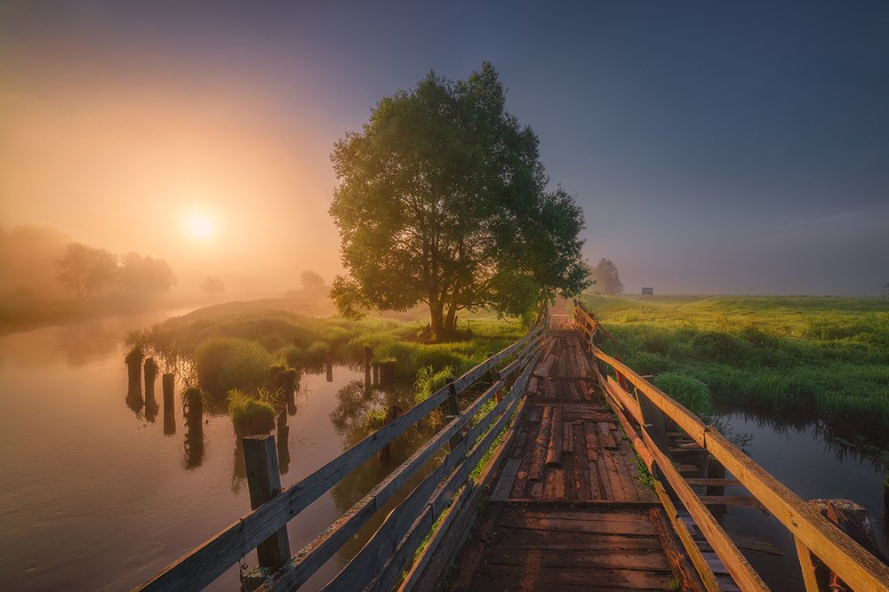 Photograph by Олешко Андрей