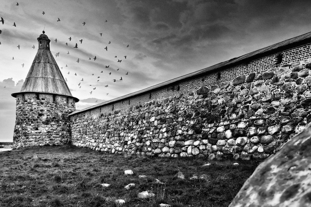 Photograph by Юрий Левко