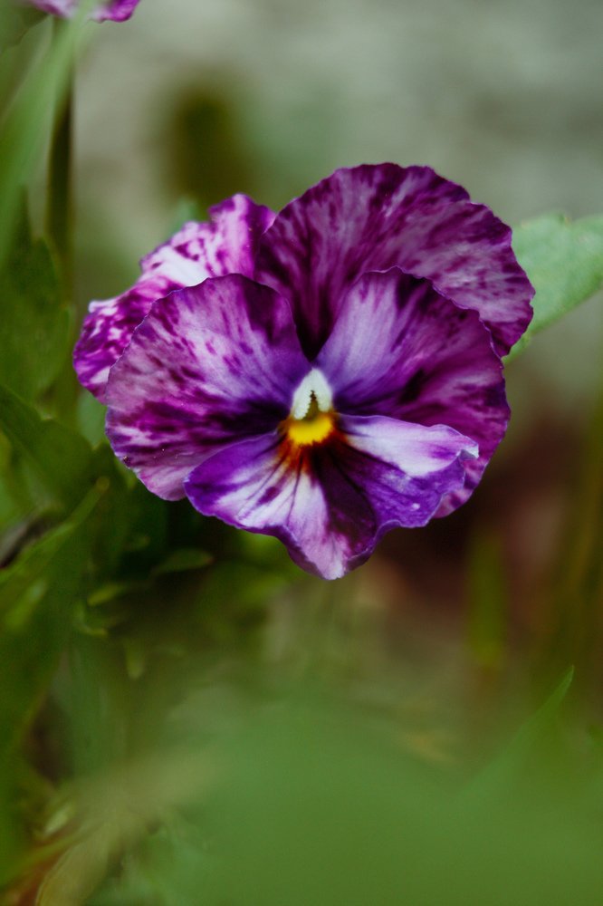 Photograph by Rybakova Alena