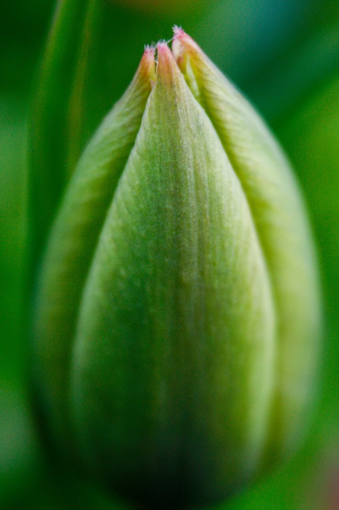 Photograph by Rybakova Alena