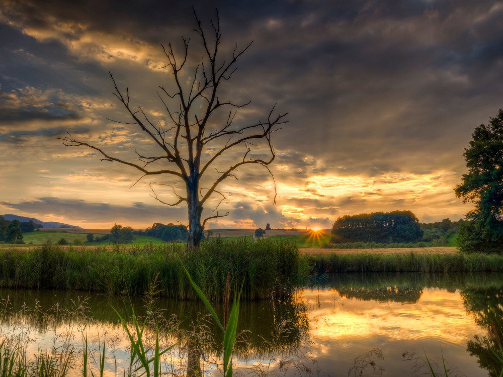 Photograph by Peter Hennig