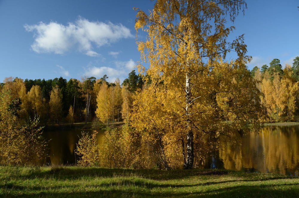 already the sky breathed in autumn