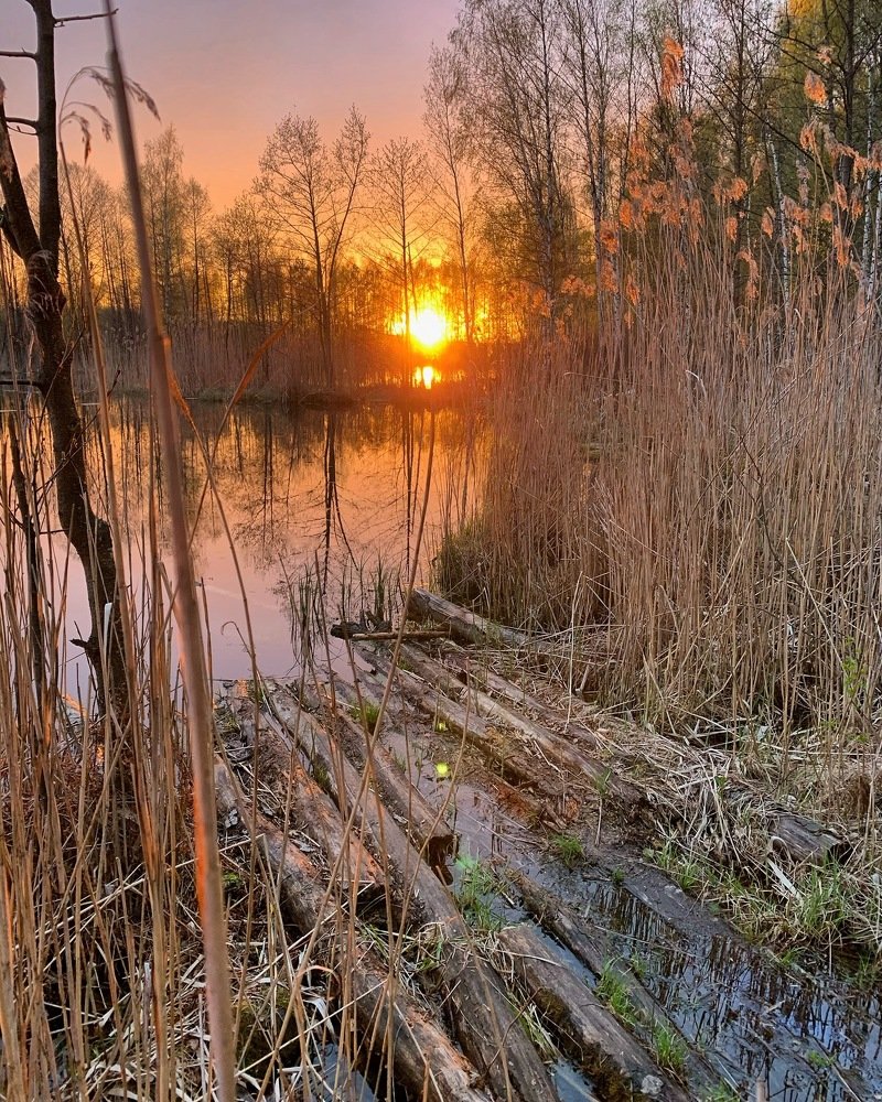 Закат на озере.