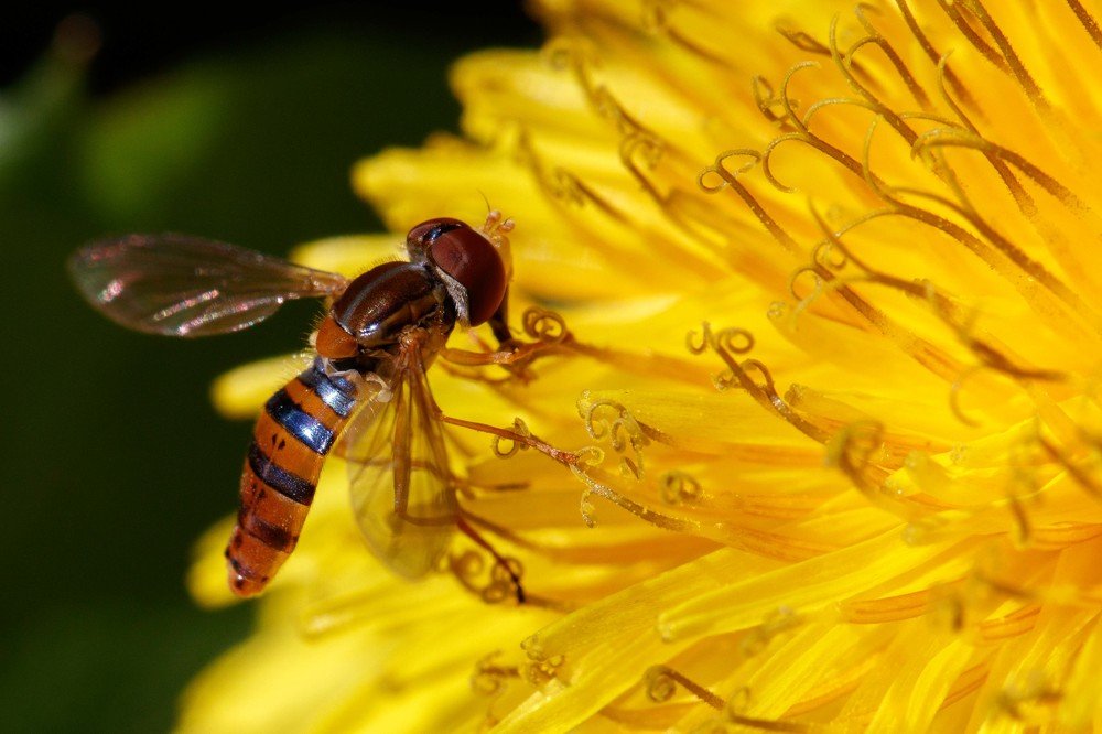 Photograph by MARÍA CECILIA REY