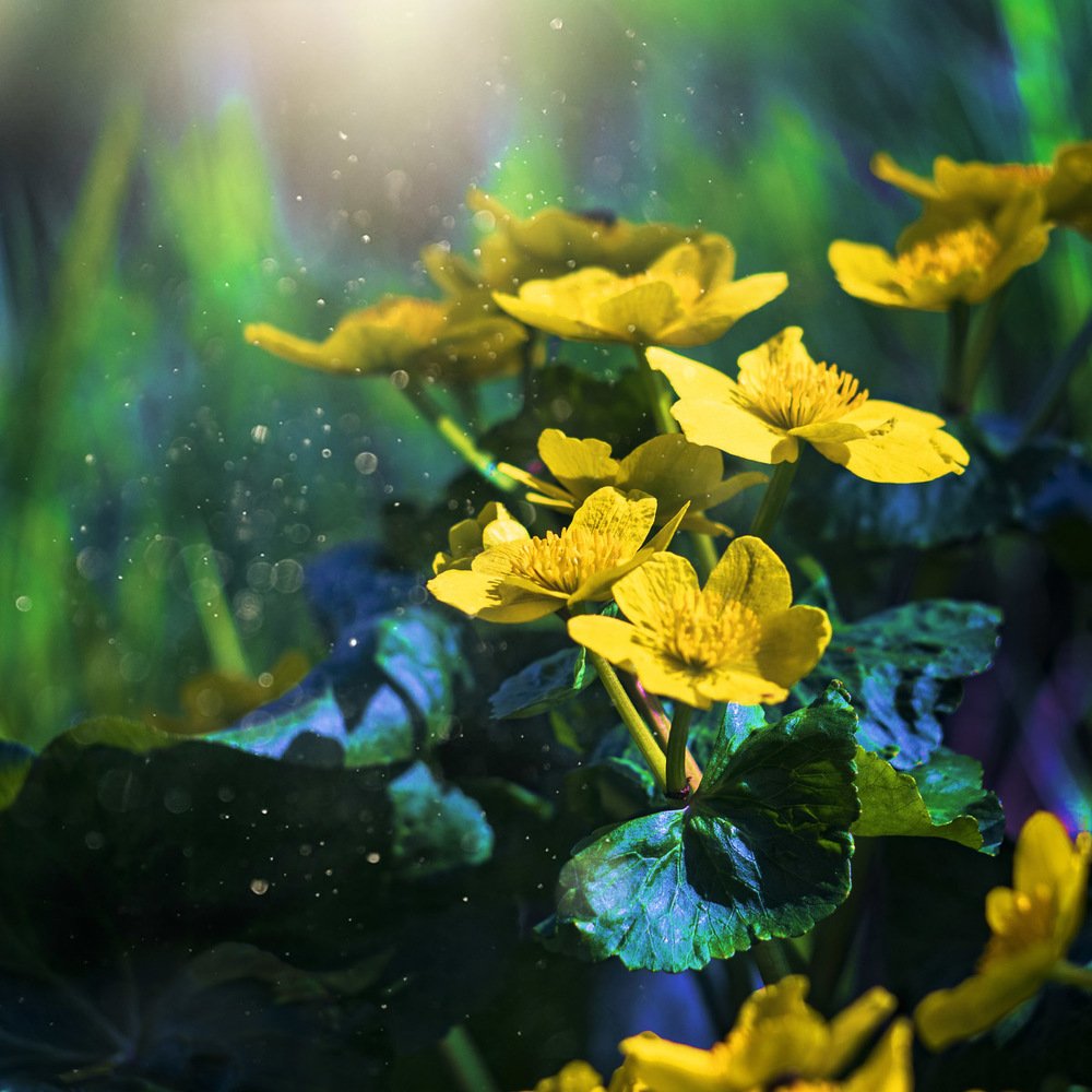 Photograph by Алексей Труханович