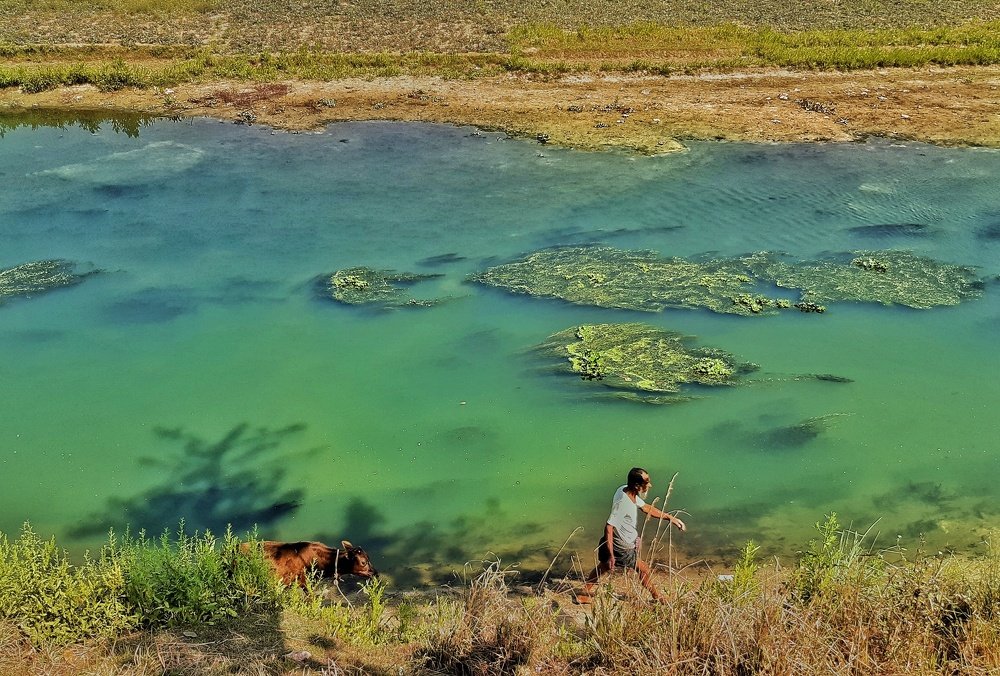 Photograph by Mirza Md moon ridoy