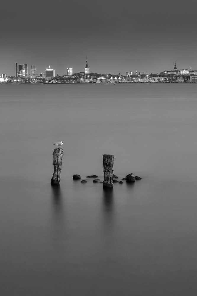 Photograph by Janek Moisavald