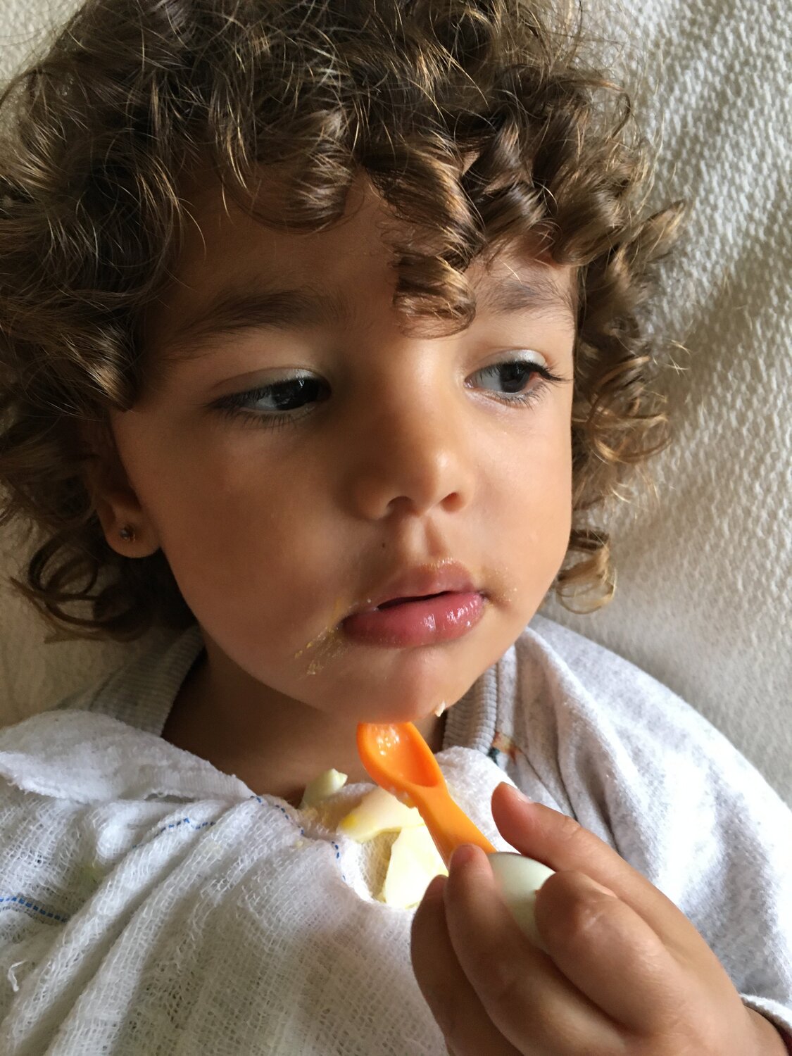 Photo #4596613