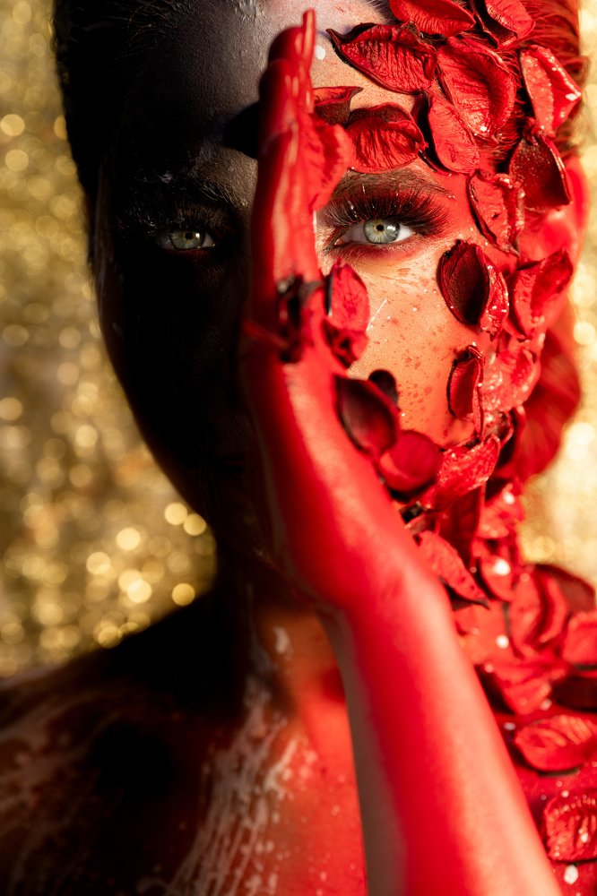 Фотография автора Ibrahim Jalal