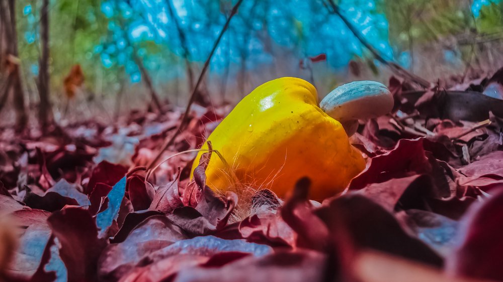 Photograph by Habib Rufin Kande