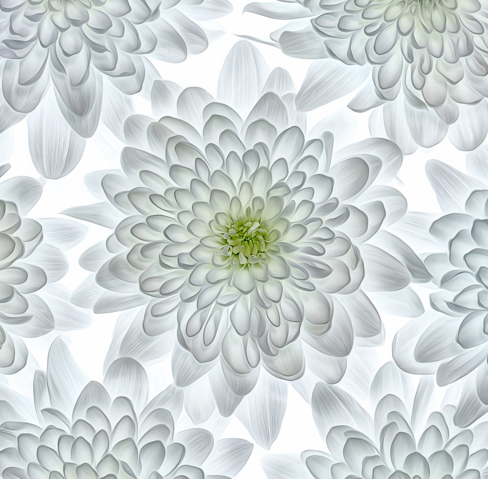 Фотография автора Ross McGree