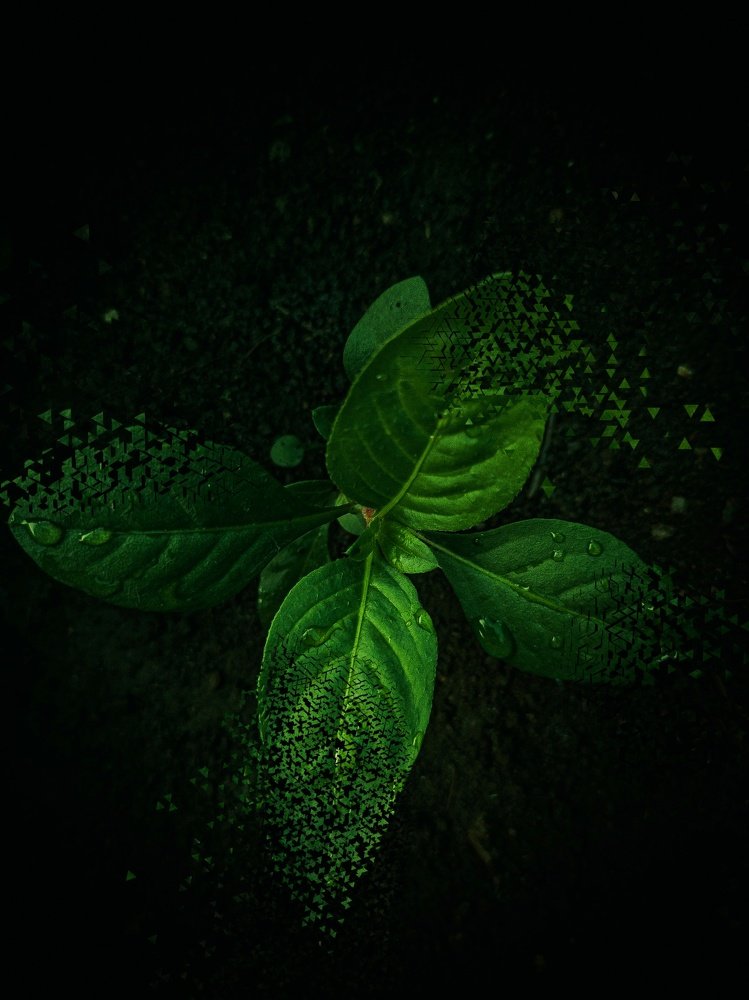 Let The New Life Begin