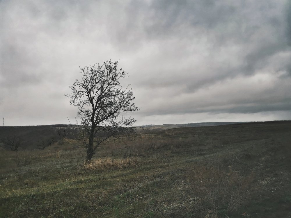 Photograph by Косов Павел