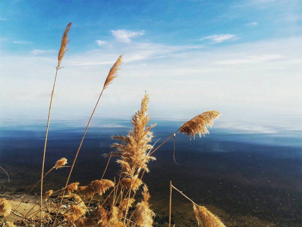 Photograph by Косов Павел