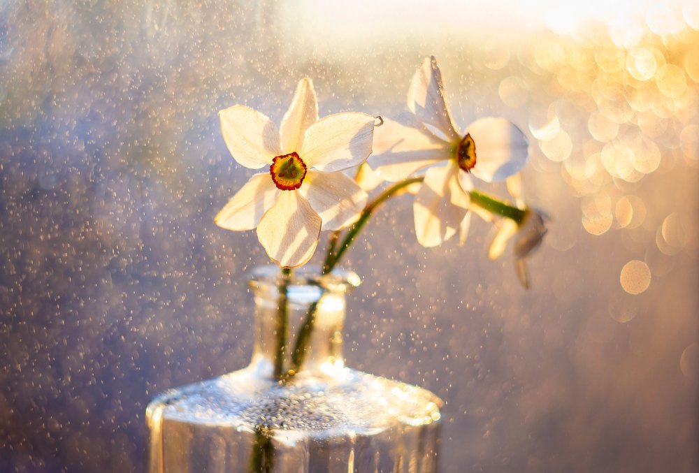 Photograph by Екатерина Кузнецова