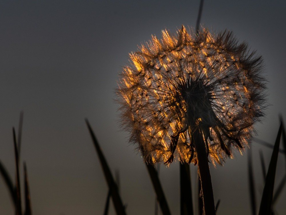 Photograph by mikhail goryachev