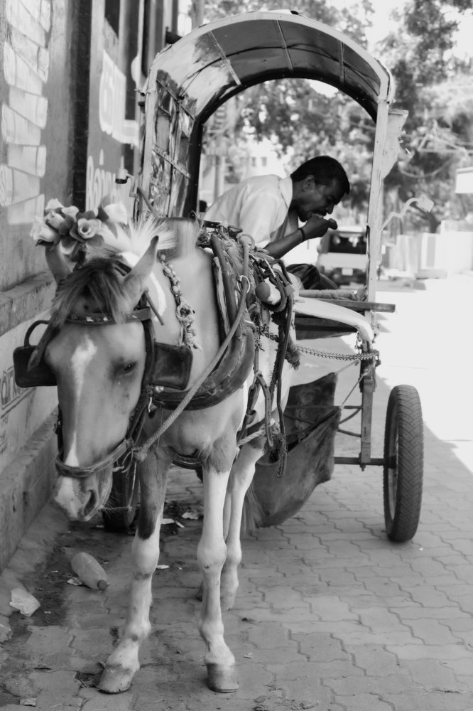 Photograph by K. Balram bekay