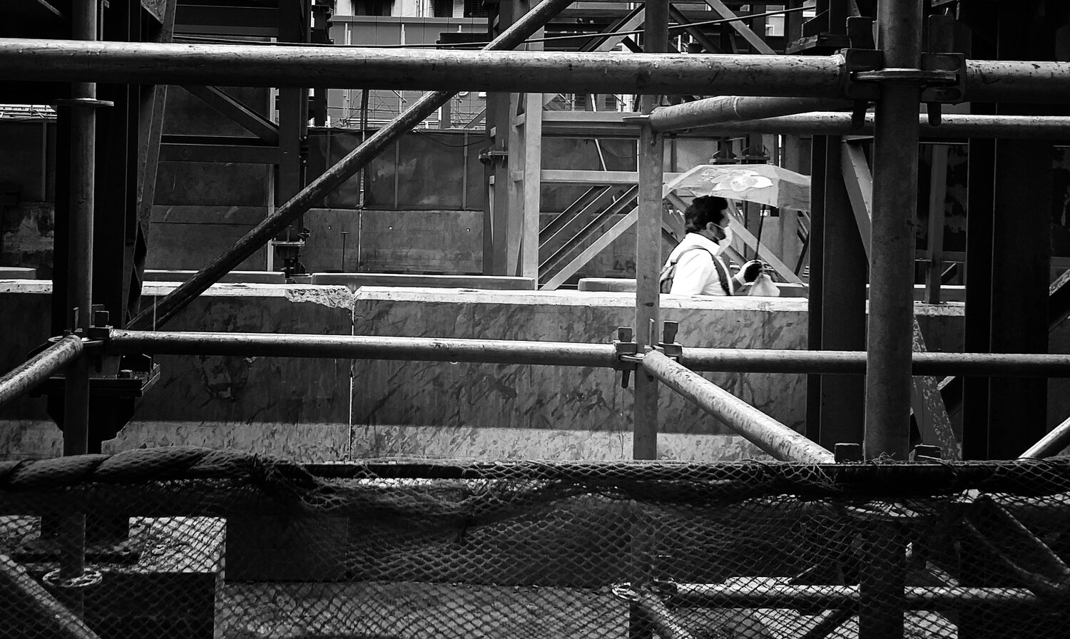Photo #4597104