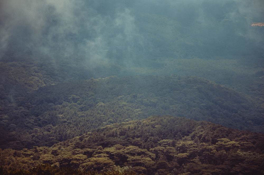 Photograph by Шапран Алёнка