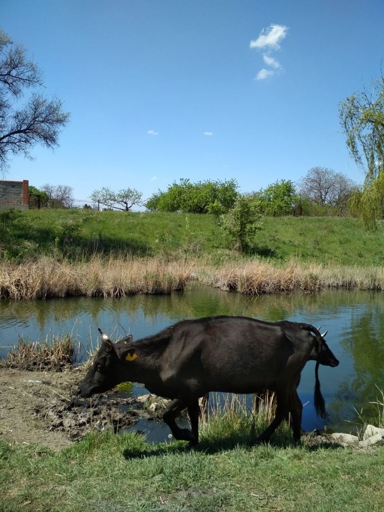 Photograph by Марина