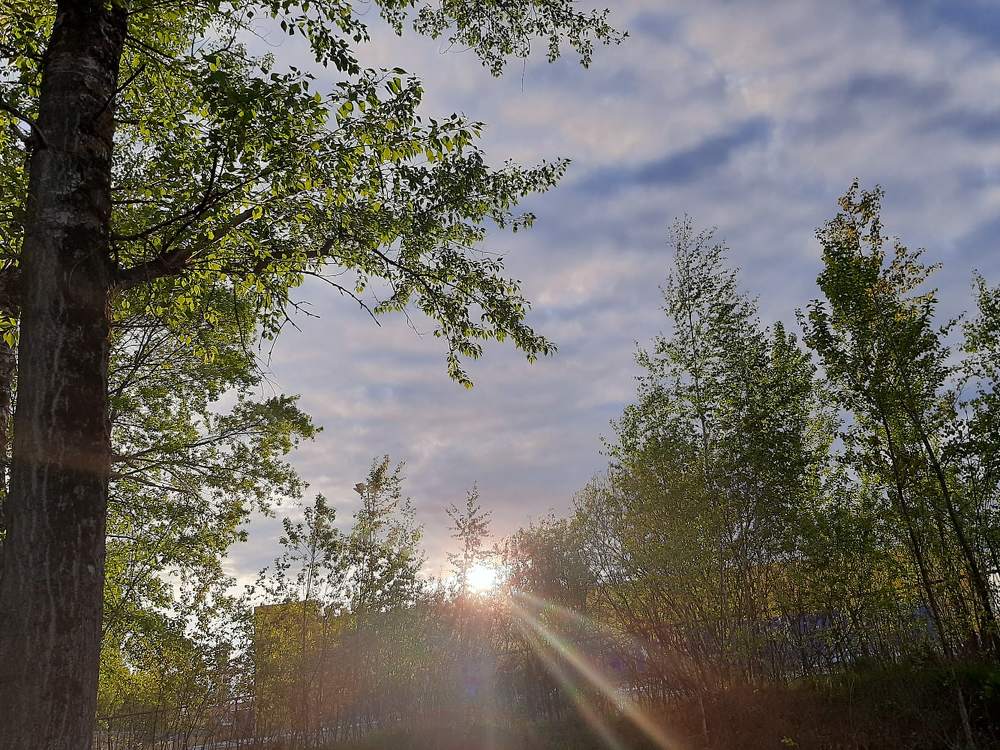 Photograph by Сергей Анохин