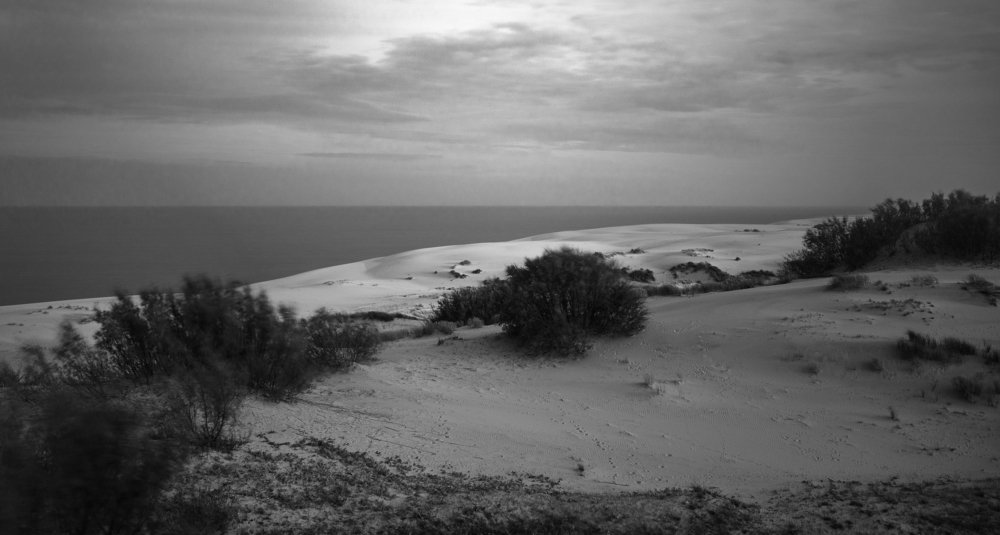 Photograph by Александр Дроздов