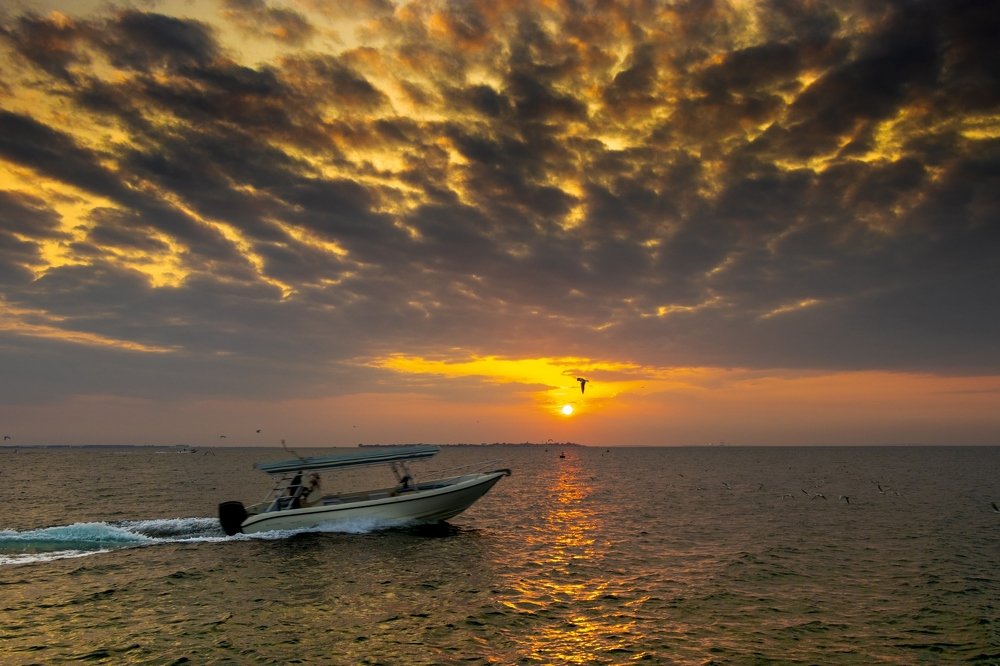 Photograph by Abbas Ally