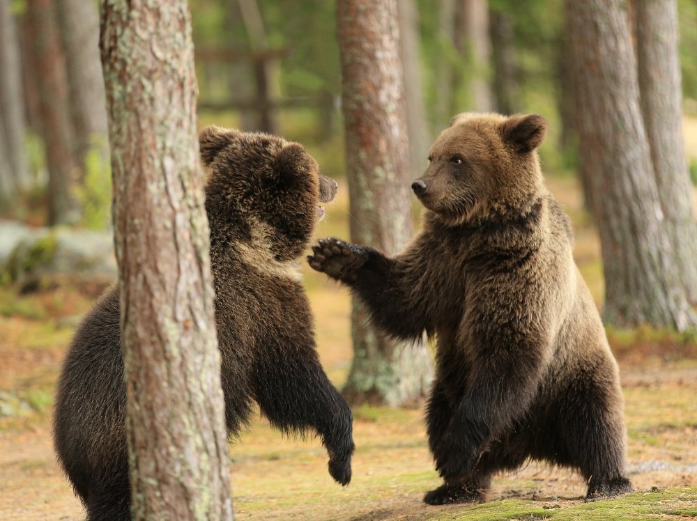 Фотография автора Юрий Кетель